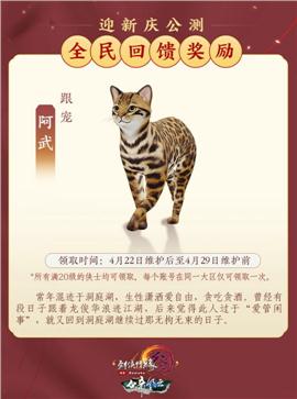 魔戒版本天龙八部私服